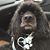 Melissa King's profile image