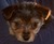 Brian N.'s profile image