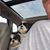 Mike Grzelak's profile image
