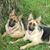 Linda Borth's profile image