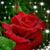 Norma Olguin's profile image