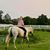 Jennifer Laury's profile image