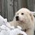 Janice Walker's profile image