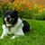 Jill Dixson's profile image