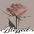 Debbie Leonard Marcelain's profile image