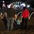 Sandi Leverock Howard's profile image