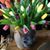 Deb Pearl Hoag's profile image