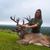 Courtney Gehrmann's profile image