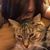 Elaine Patout's profile image