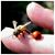 Joseph Reinke's profile image