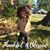 Cindy Fetzer's profile image