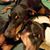 Cynthia Malone Lane's profile image