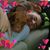 Chris Mitter's profile image