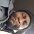 Bernard Adusei's profile image