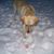 Loni Unruh's profile image