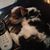 Linda Sallee's profile image
