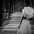 Tracy Schroeder's profile image