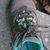 Eileen Cogan's profile image