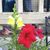 Tari Lynn Truman's profile image