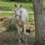Tonya Colburn's profile image