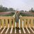 Marcia Margeson's profile image