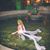 Laura Hughes's profile image