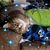 Lynn Munson's profile image
