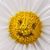 Beth Helm's profile image