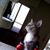Eusebia Rios's profile image