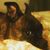 Pam Farris's profile image