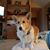 Susan Hecker Lucas's profile image