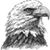Wendy Barlow's profile image