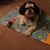 Carol Mattheis's profile image