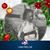 Cindy Farris's profile image