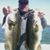 Bob Allen's profile image