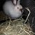 Mary-Jo Bradshaw's profile image