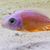 David Taylor's profile image