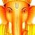 Molly Schmidt-Nowara's profile image