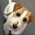 Nita Bitner's profile image