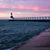 Sue Morse's profile image