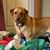 Misty Zeneberg Pasch's profile image