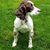 Debbie Harvey's profile image