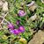 Peggy Easterly's profile image