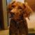 Anne Nordstrom Peterson's profile image