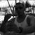 Armando Garcia's profile image