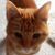 Paula Williams's profile image