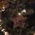 Sandra L. Brayson-Winiasz's profile image