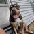 Coby Schollenbruch-Whodi's profile image