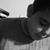 Marcos Vasquez's profile image