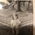 Heidi Shain Caruso's profile image